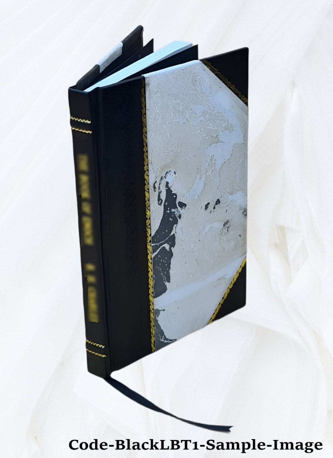 Bacterial Food Poisoning A Concise Exposition Of The Etiology, B [Leather Bound]